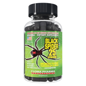 BLACK SPIDER